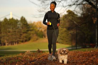 Un Shih Tzu trottinant aux côtés de son maitre dans un parc