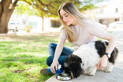 Une jeune femme donnant à boire à un Shih Tzu au cours d'une sortie