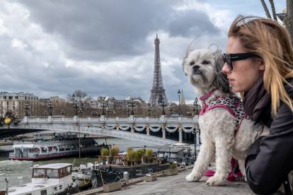 Un Shih Tzu et une jeune femme devant la Seine et la tour Eiffel