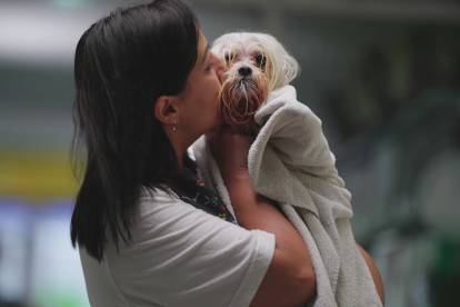 Une femme tenant dans ses bras un Shih Tzu dont le corps est couvert d'une serviette