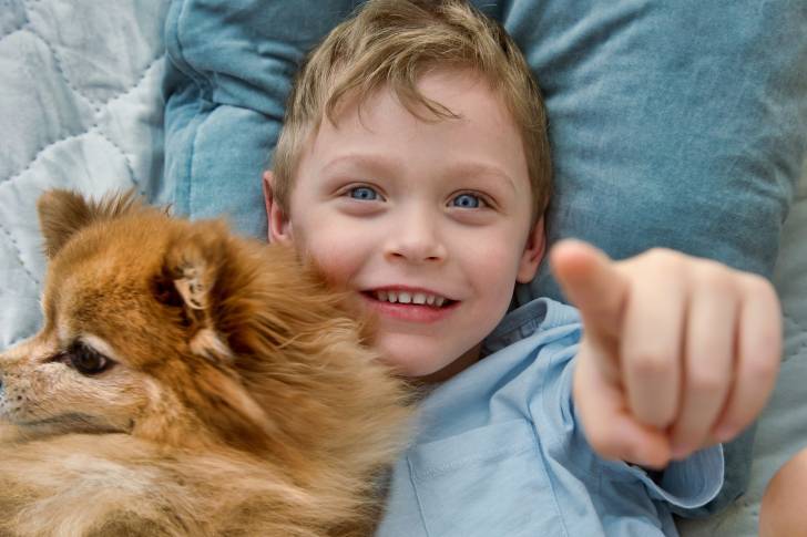 Un Spitz Allemand allongé avec un petit garçon