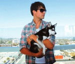 Fox - Husky Sibérien Mâle (1 an)