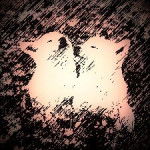 Derek and Nik - Husky Sibérien Mâle (3 mois)