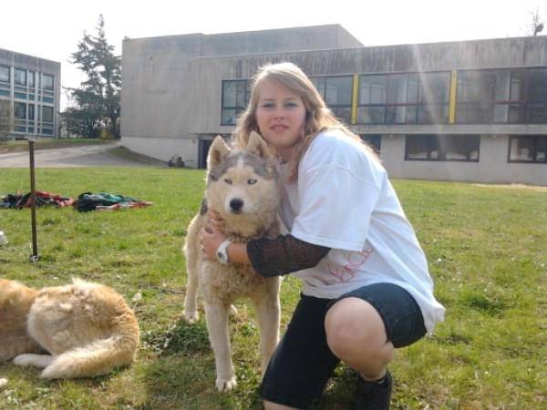 Balto - Husky Sibérien Mâle (1 an)