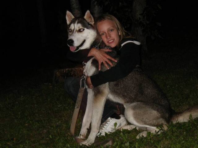Max - Husky Sibérien Mâle (1 an)