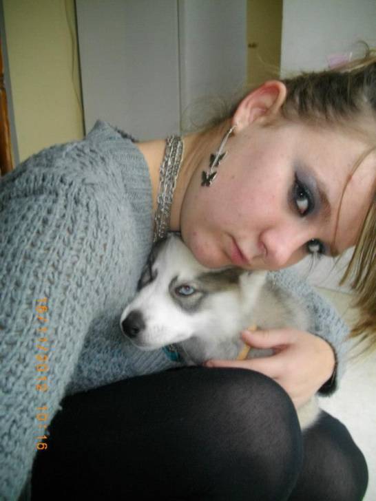 Rose - Husky Sibérien (2 ans)