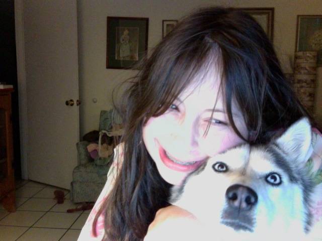 Hazel - Husky Sibérien Femelle (2 ans)