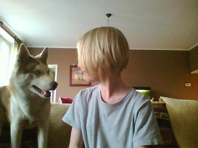 Gaïa et Moi - Husky Sibérien Femelle (1 an)