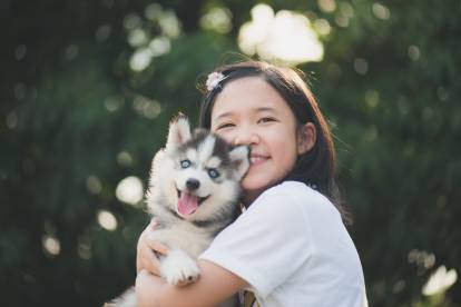 Un chiot Husky Sibérien dans les bras de sa propriétaire