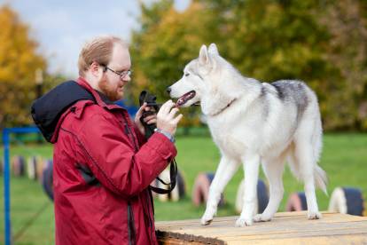 Un propriétaire en train d'éduquer son Husky Sibérien