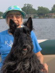 Alice - Scottish Terrier (4 ans)