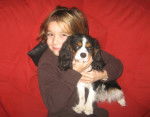 candy et moi - Cavalier King Charles Spaniel (2 ans)