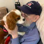 Un Cavalier King Charles Spaniel dans les mains d'un homme âgé 