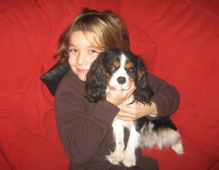 candy et moi - Cavalier King Charles Spaniel (2 ans)