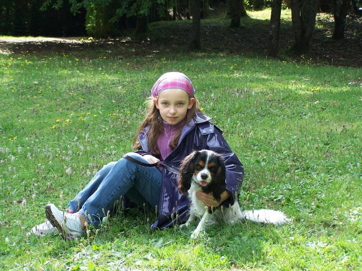 Makenna - Cavalier King Charles Spaniel (5 mois)