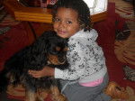 Liyah avec Bingo 4 ans, cavalier King charles - Cavalier King Charles Spaniel (4 ans)