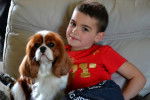 Un Cavalier King Charles Spaniel assis sur un canapé à côté un petit garçon