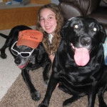 Sky and stormie - Labrador Retriever (9 ans)