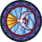 filipo - Labrador Retriever M&acirc;le (1 an)