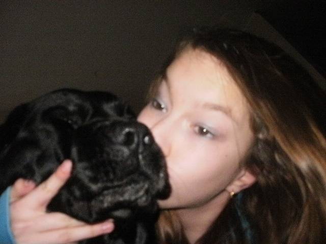 Madi 'n' Cassie :) - Labrador Retriever (8 ans)