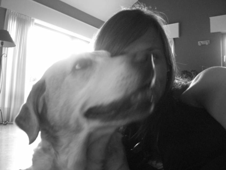 Mira - Labrador Retriever (15 ans)