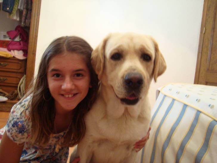 Laura y Toby - Labrador Retriever Mâle (2 ans)