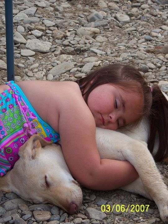 Celisa and Deeva - Labrador Retriever (2 ans)