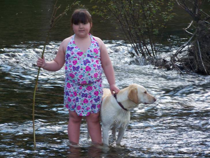 Deeva - Labrador Retriever (3 ans)