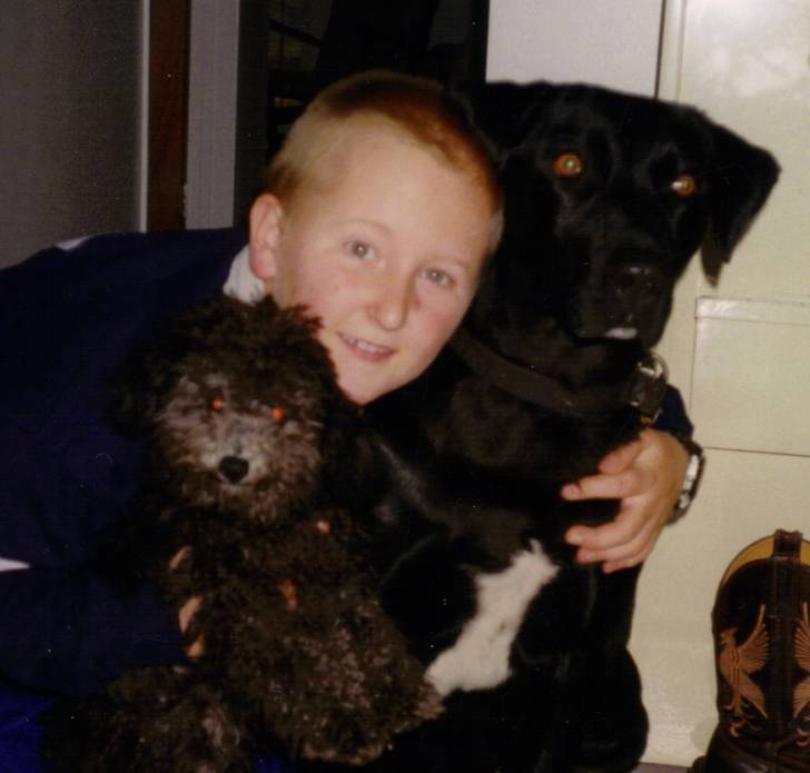 niki - Labrador Retriever (10 ans)