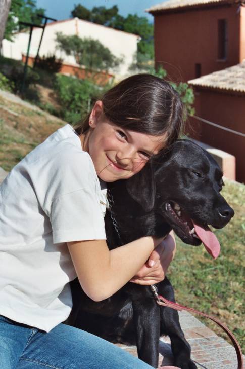 Vogue - Labrador Retriever (6 ans)