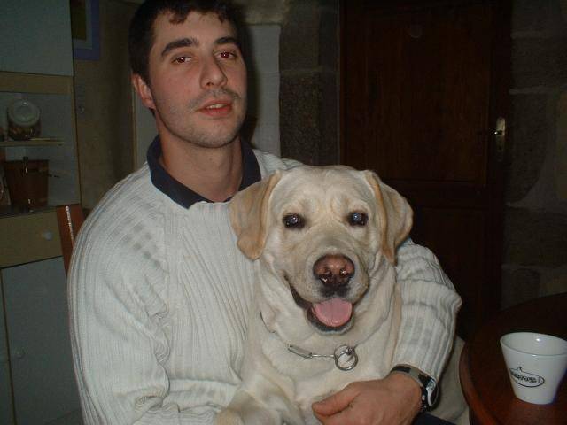 Jagger, mon labrador retriever adoré - Labrador Retriever