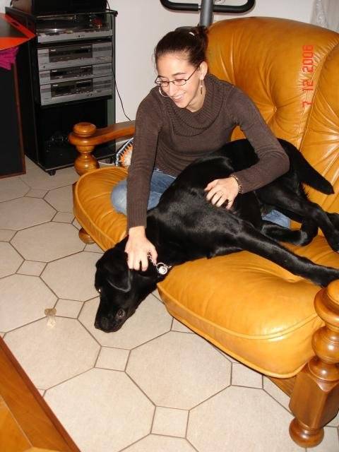 LABRADOR UNZO - Labrador Retriever