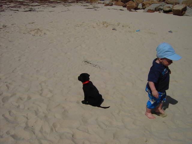 labrador louna et mon fils ryan 2ans - Labrador Retriever