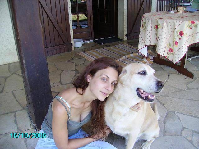 SPIKE alias BIBINOUTE Labrador 7ans - Labrador Retriever