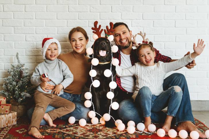 Un Labrador Retriever entouré de sa famille pour Noël