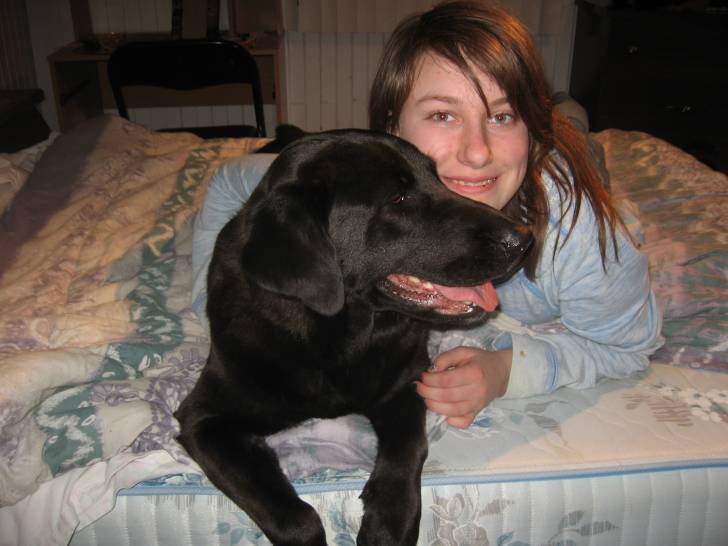 Mallie - Labrador Retriever (2 ans)