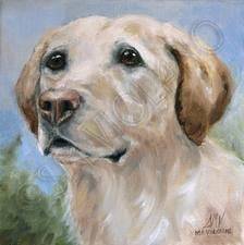 Cake as a Drawing - Labrador Retriever