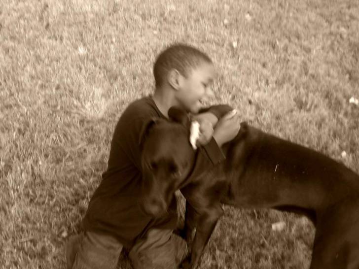 James & Biscuit - Labrador Retriever (1 an)