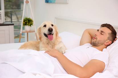Citations sur la fidélité du chien
