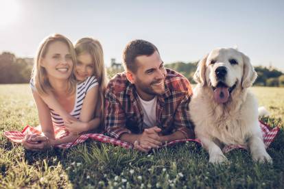 Citations sur la place du chien dans la famille