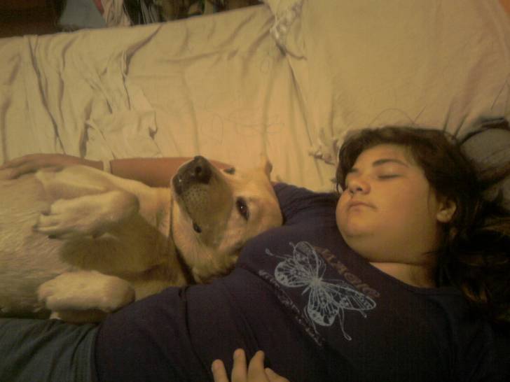 lila - Labrador Retriever Femelle (6 ans)