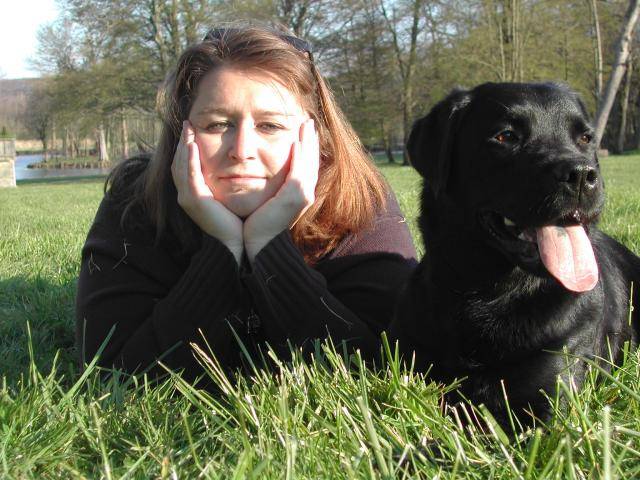 Labrador - Labrador Retriever