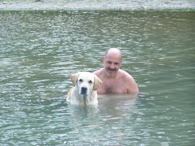 Timon, labrador - Labrador Retriever