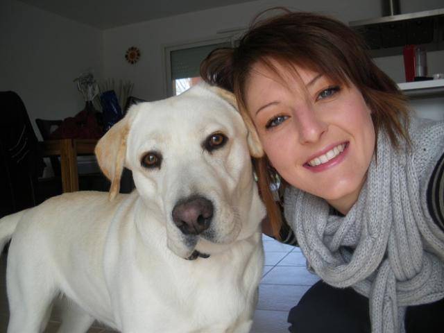 labrador Dina 2 ans - Labrador Retriever (2 ans)