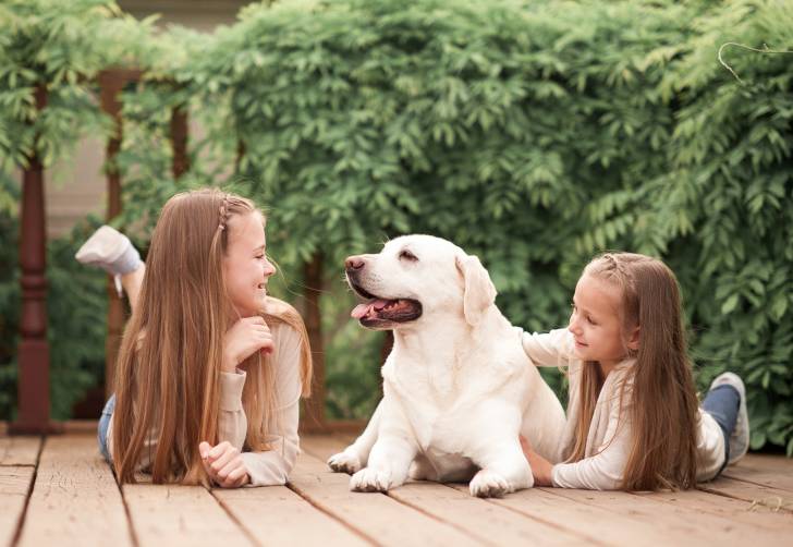 Un Labrador entre deux petites filles
