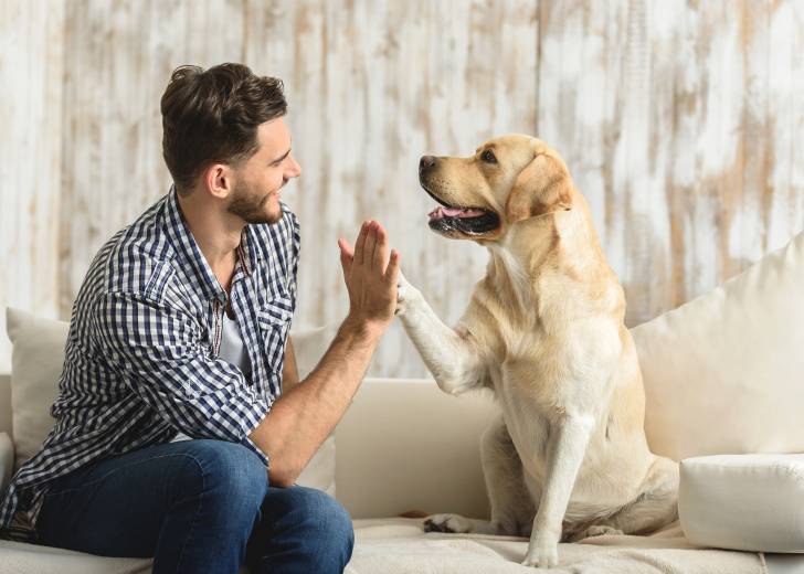Un Labrador et son maître font un 