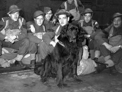 Gander, un Terre-Neuve au cœur de la guerre du Pacifique