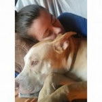 Swag - Pitbull (4 ans)