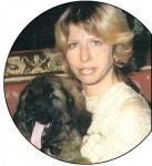 Lion d'Occitanie - Lion d'Occitanie