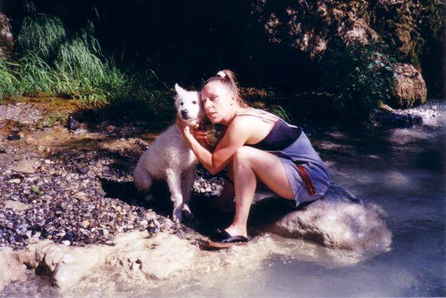 berger blanc suisse - Berger Blanc Suisse